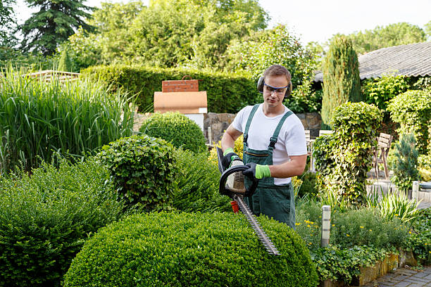 Best Lawn Watering Services  in New Burlington, OH